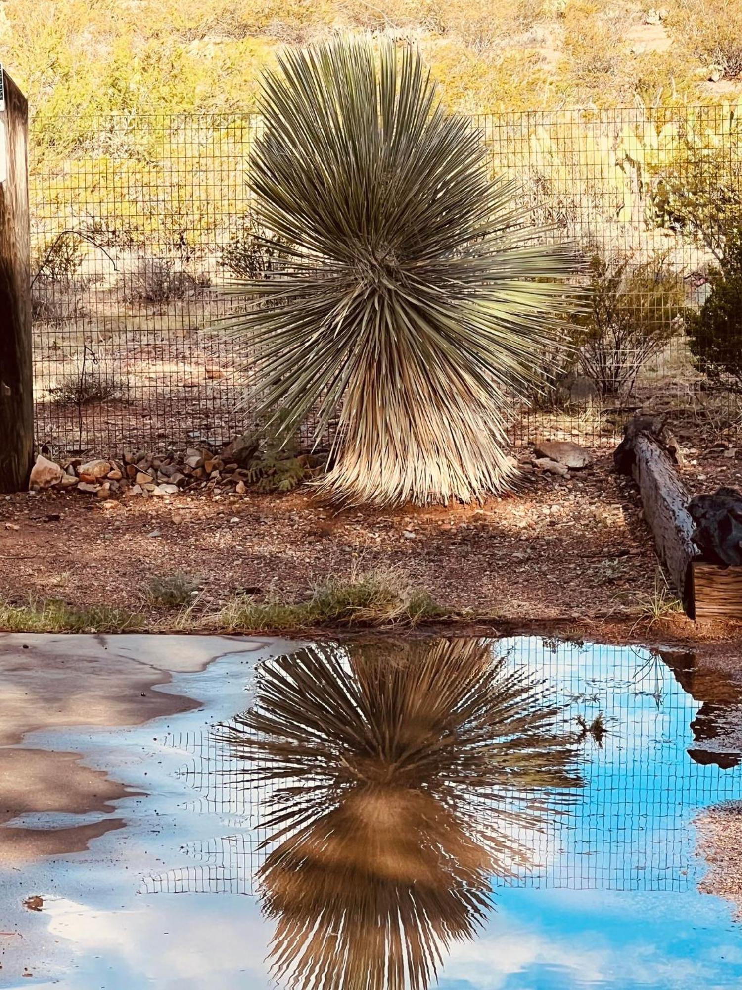 Hole In The Wall Getaway - Usa Mexico Border Bed And Breakfast Columbus Exteriör bild